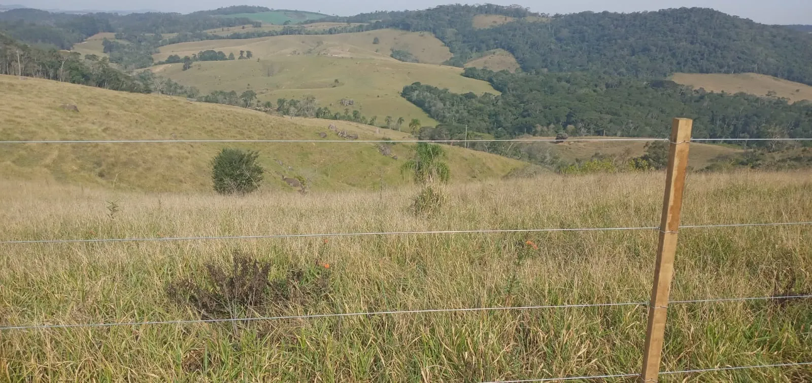 Fazenda à venda de 157 ha em Capão Bonito, SP, Brasil