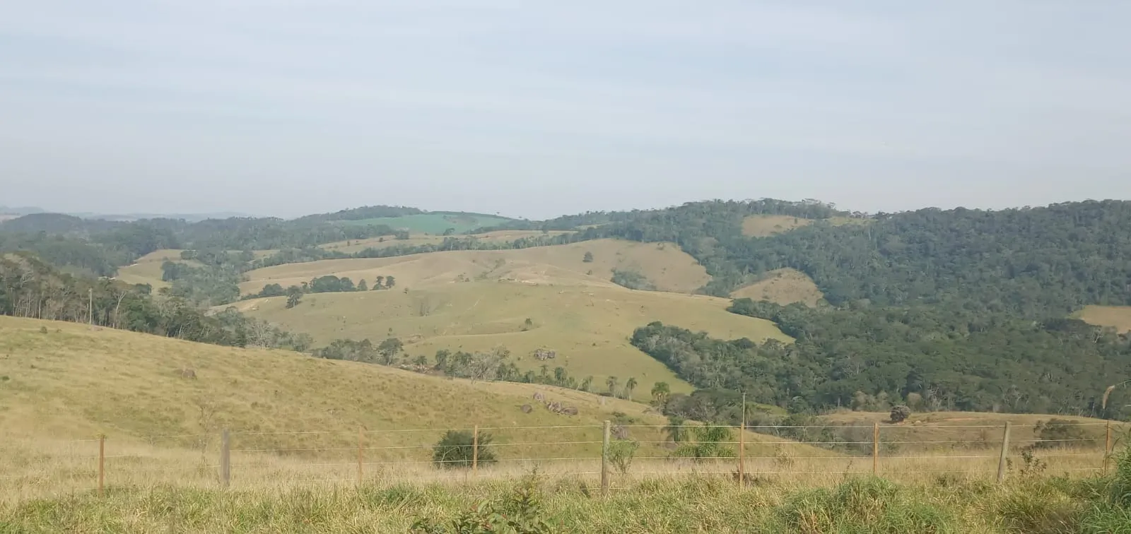 Fazenda à venda de 157 ha em Capão Bonito, SP, Brasil