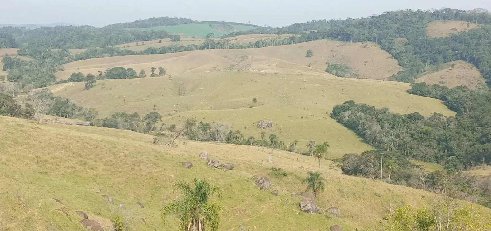 Fazenda à venda de 157 ha em Capão Bonito, SP, Brasil