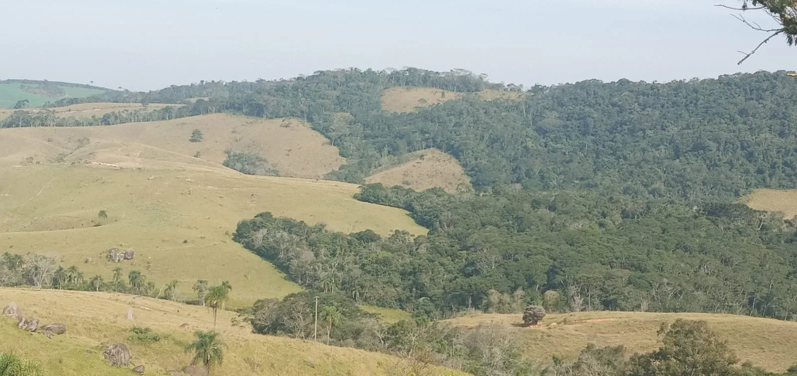 Fazenda à venda de 157 ha em Capão Bonito, SP, Brasil