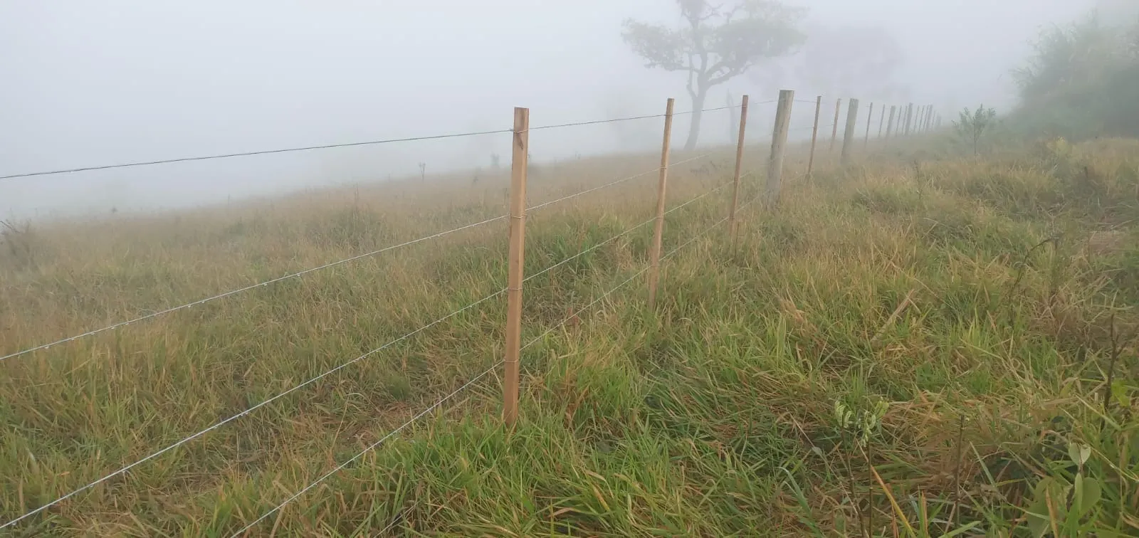 Fazenda à venda de 157 ha em Capão Bonito, SP, Brasil