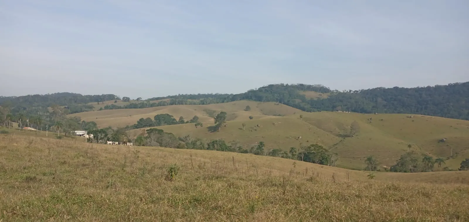 Fazenda à venda de 157 ha em Capão Bonito, SP, Brasil