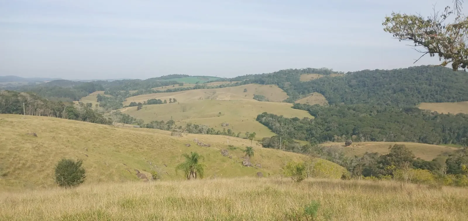 Fazenda à venda de 157 ha em Capão Bonito, SP, Brasil