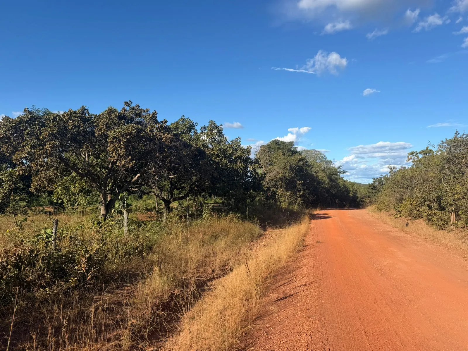 Fazenda à venda de 120 ha em São Valério da Natividade, TO, Brasil