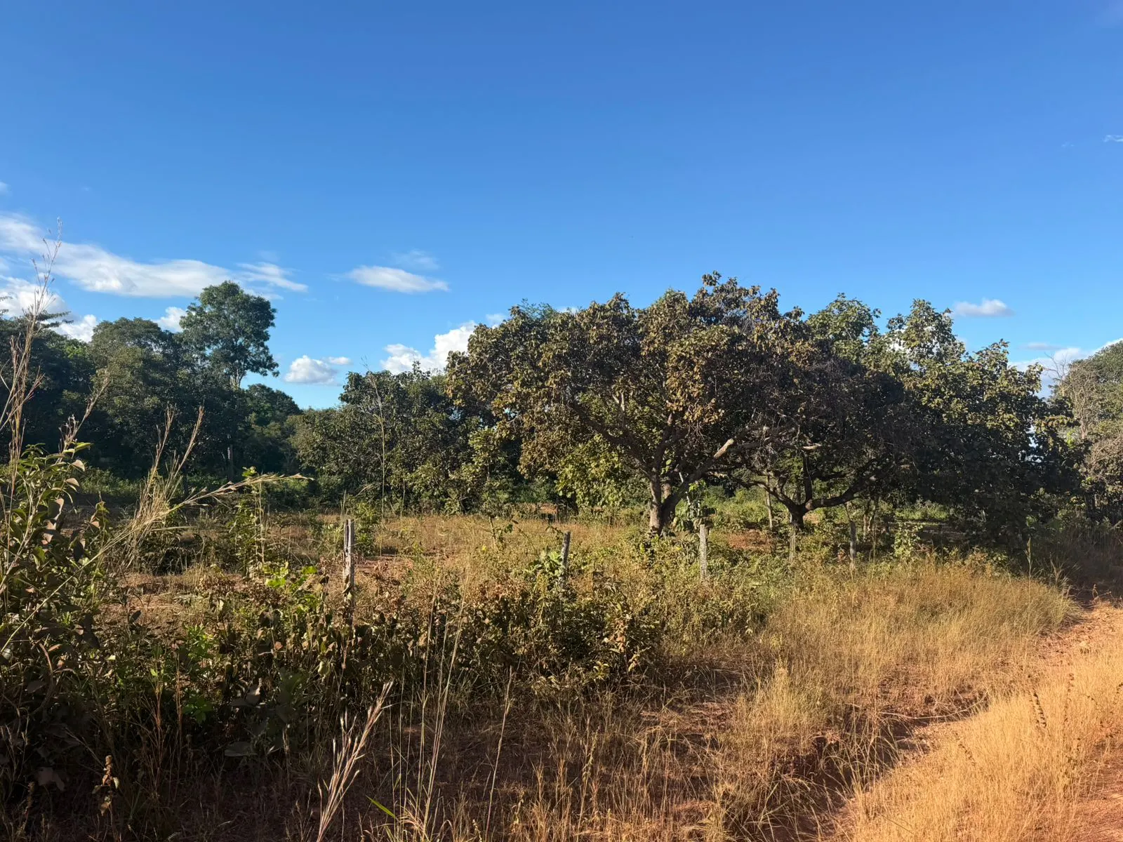 Fazenda à venda de 120 ha em São Valério da Natividade, TO, Brasil