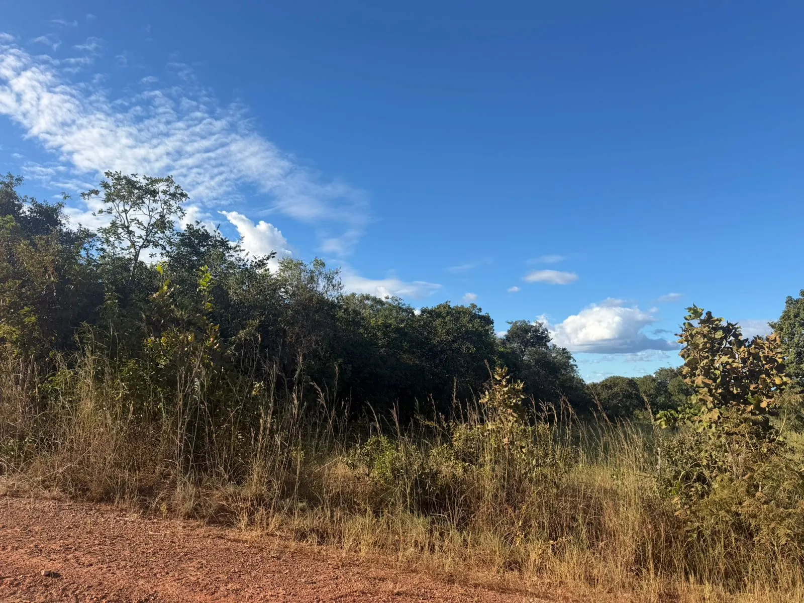 Fazenda à venda de 120 ha em São Valério da Natividade, TO, Brasil