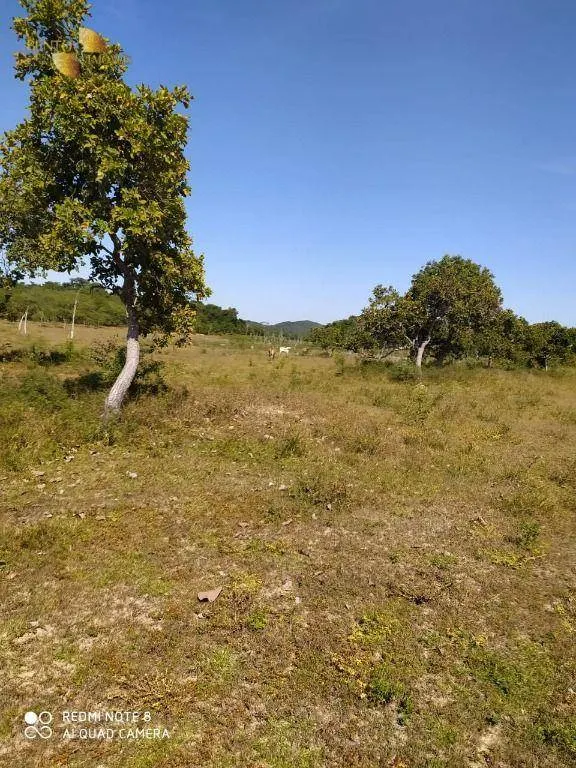 Fazenda à venda de 307 ha em Chapada dos Guimarães, MT, Brasil