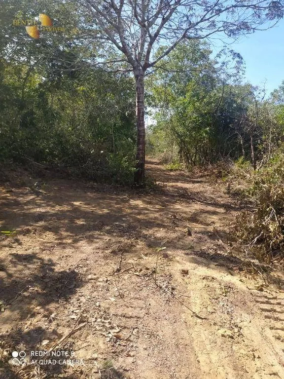Fazenda à venda de 307 ha em Chapada dos Guimarães, MT, Brasil