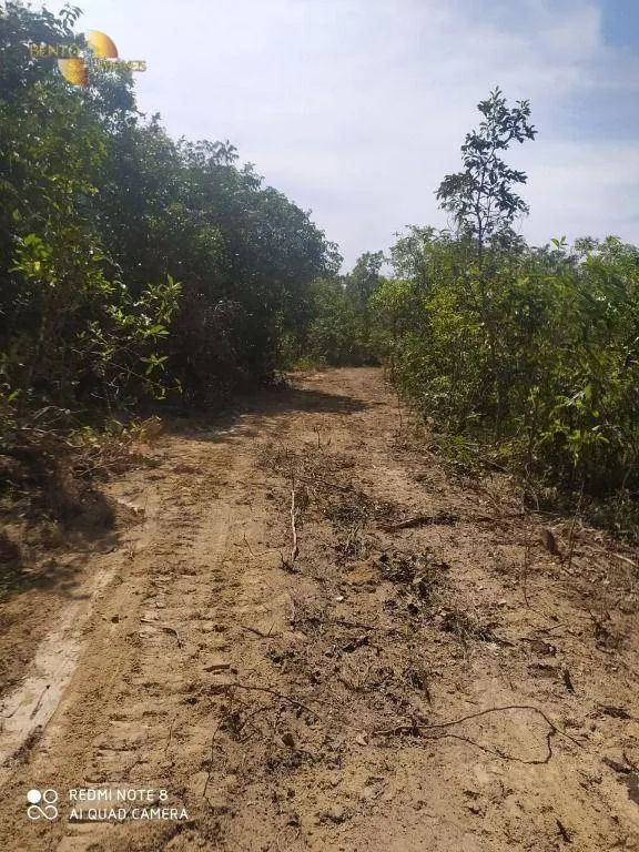 Fazenda à venda de 307 ha em Chapada dos Guimarães, MT, Brasil