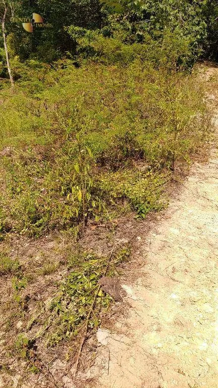 Fazenda à venda de 307 ha em Chapada dos Guimarães, MT, Brasil