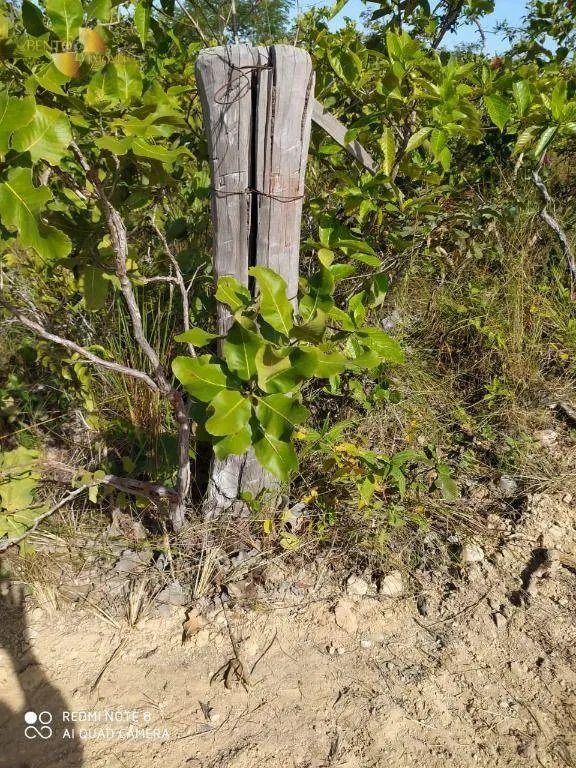 Fazenda à venda de 307 ha em Chapada dos Guimarães, MT, Brasil