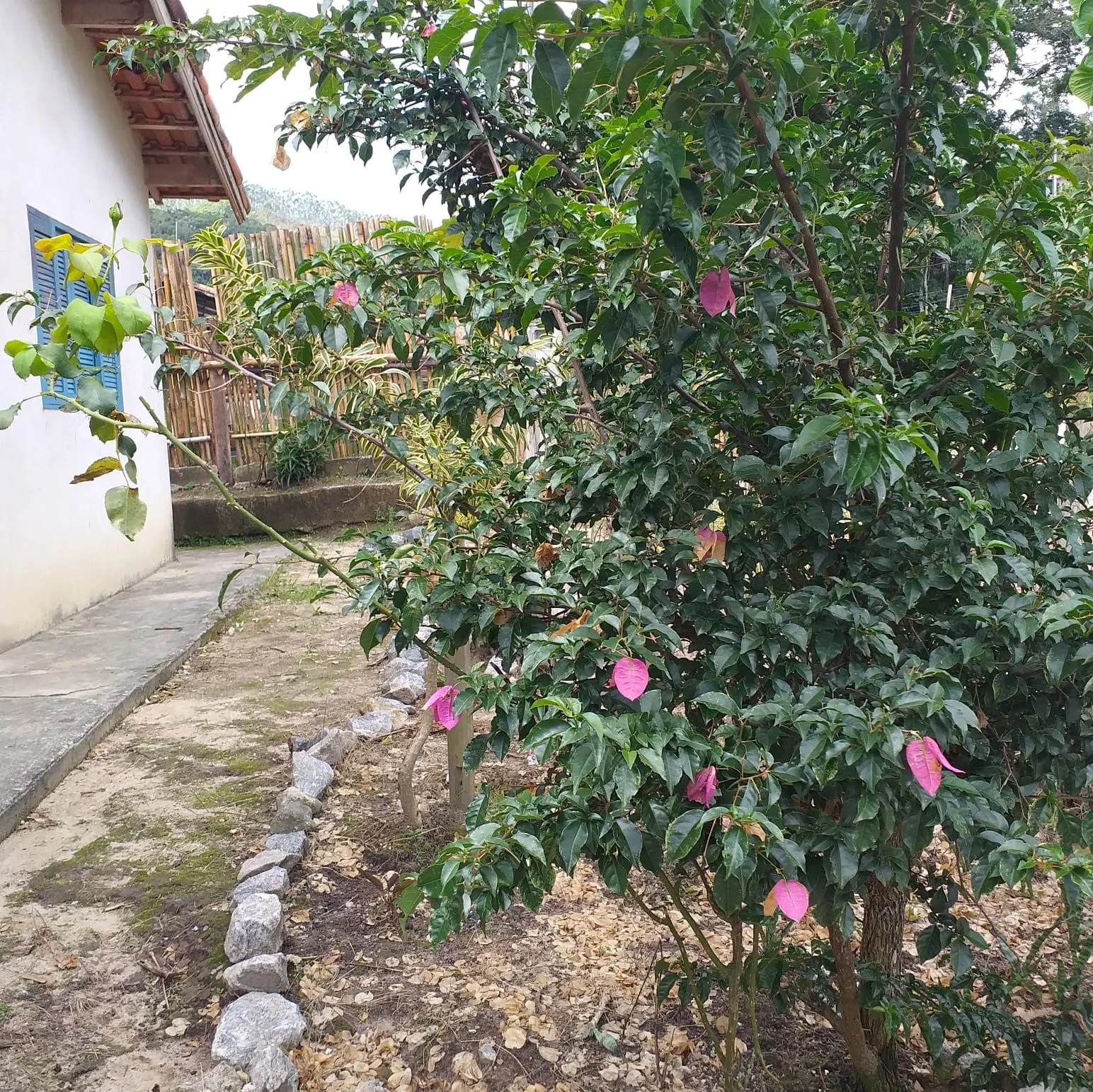 Chácara à venda de 7.200 m² em Paraibuna, SP, Brasil