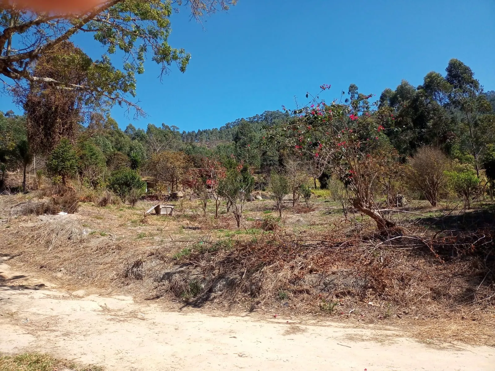 Small farm for sale of 30 acres in Paraibuna, SP, Brazil