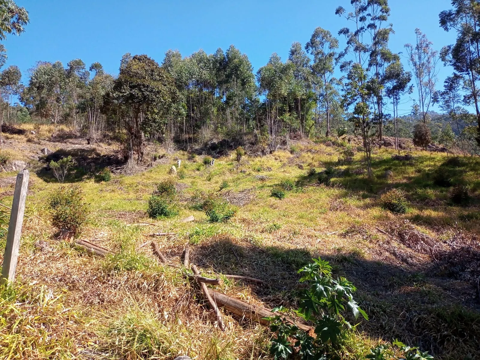 Small farm for sale of 30 acres in Paraibuna, SP, Brazil