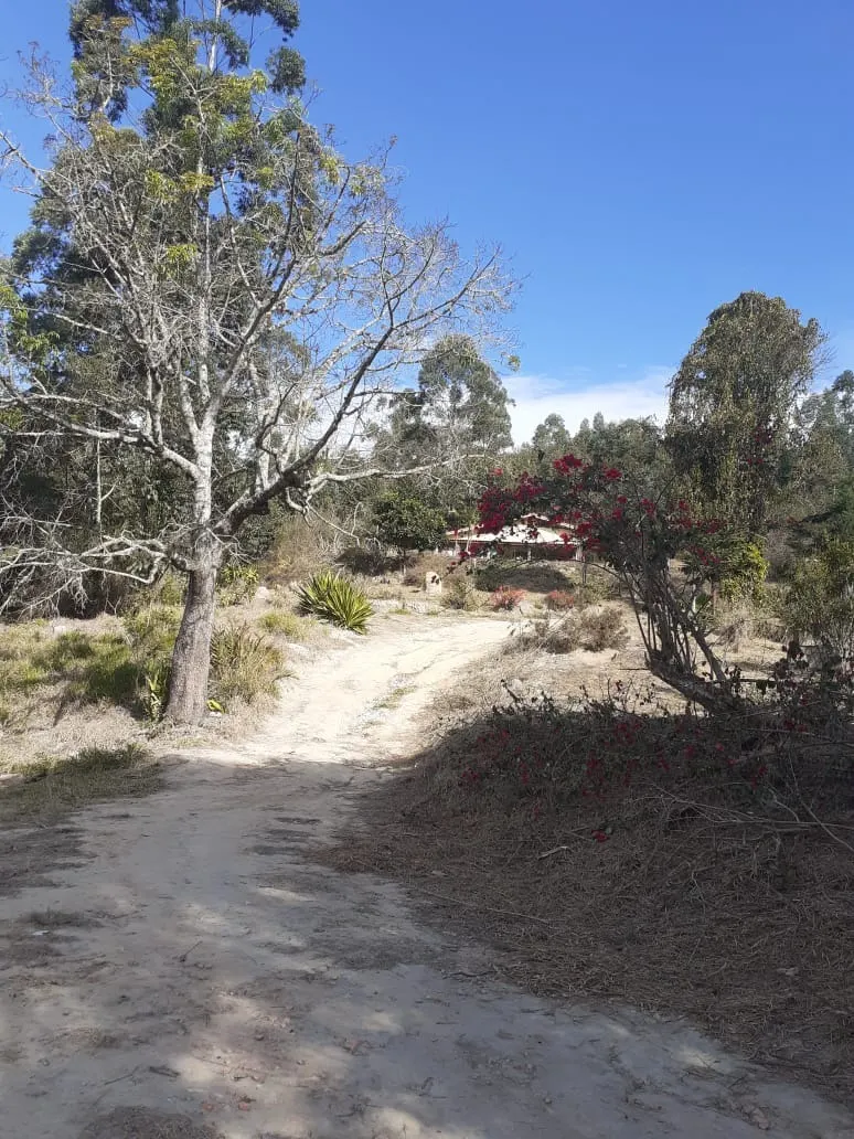 Small farm for sale of 30 acres in Paraibuna, SP, Brazil