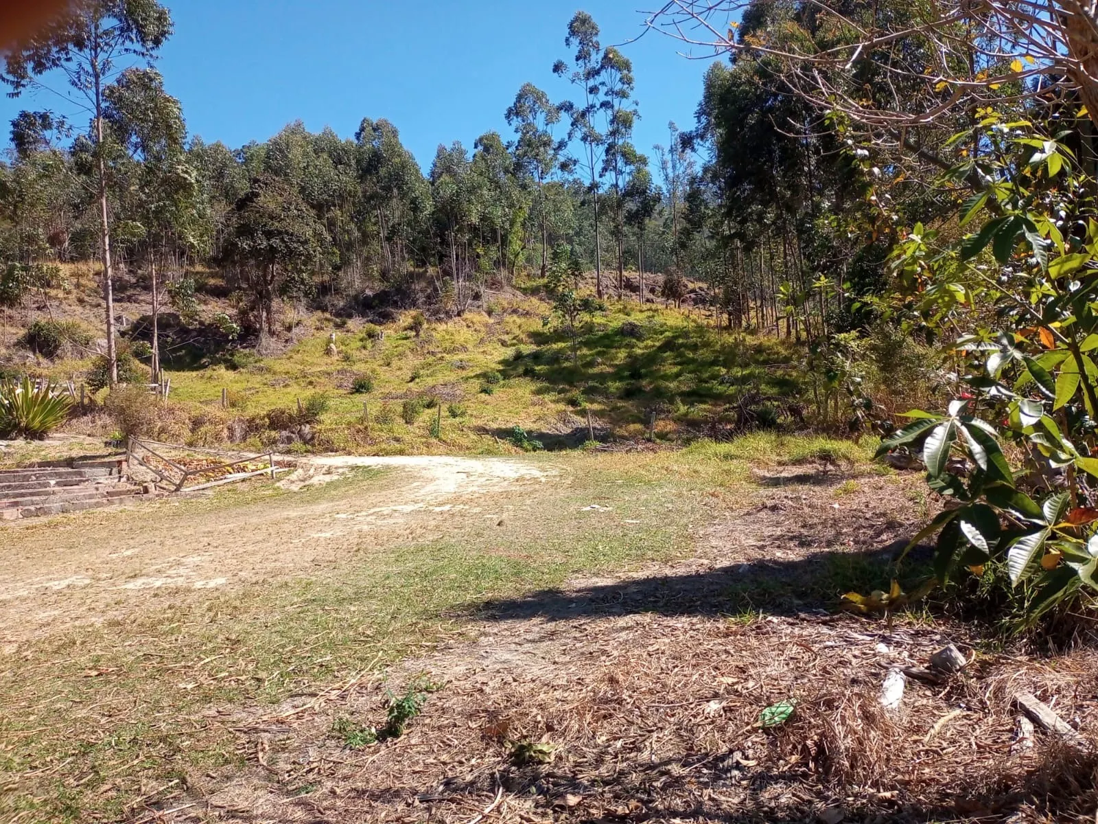 Small farm for sale of 30 acres in Paraibuna, SP, Brazil