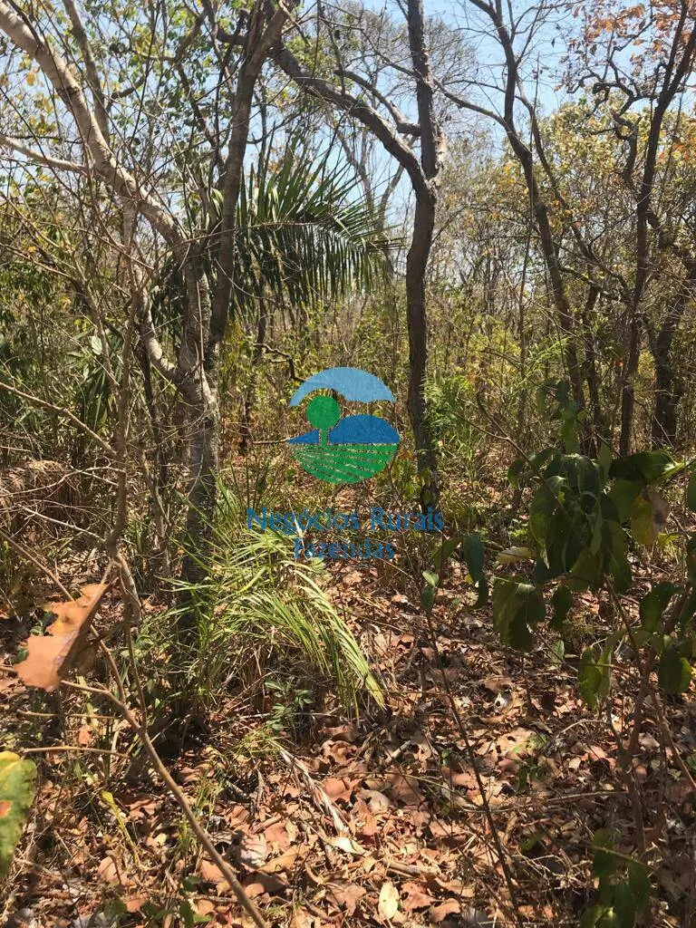Farm for sale and to rent of 1,137 acres in Palmeirópolis, TO, Brazil
