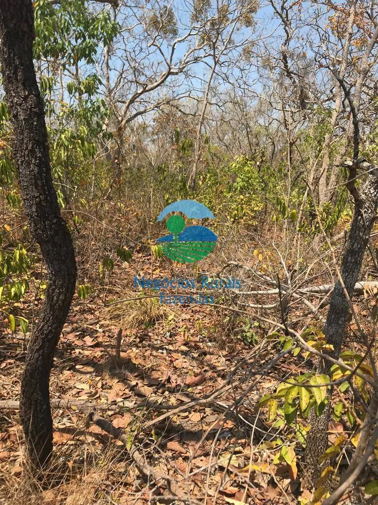 Farm for sale and to rent of 1,137 acres in Palmeirópolis, TO, Brazil