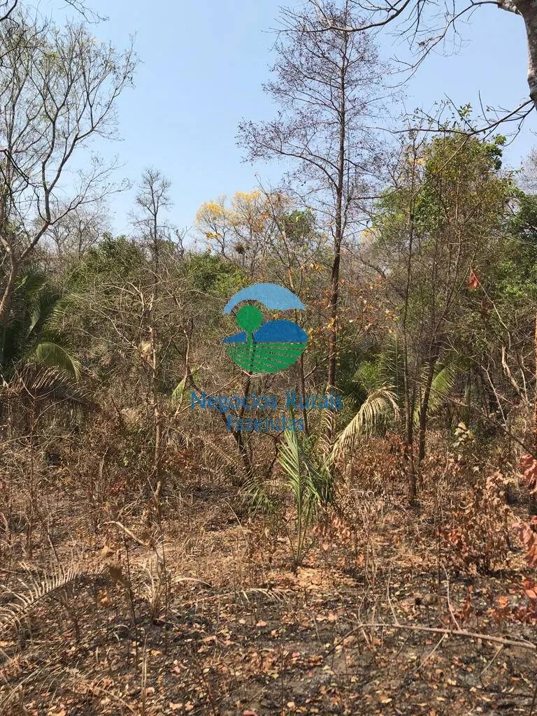Farm for sale and to rent of 1,137 acres in Palmeirópolis, TO, Brazil