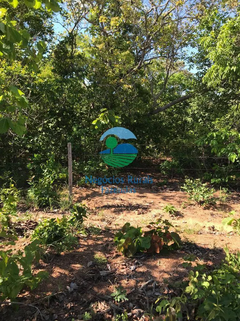 Farm for sale and to rent of 1,137 acres in Palmeirópolis, TO, Brazil