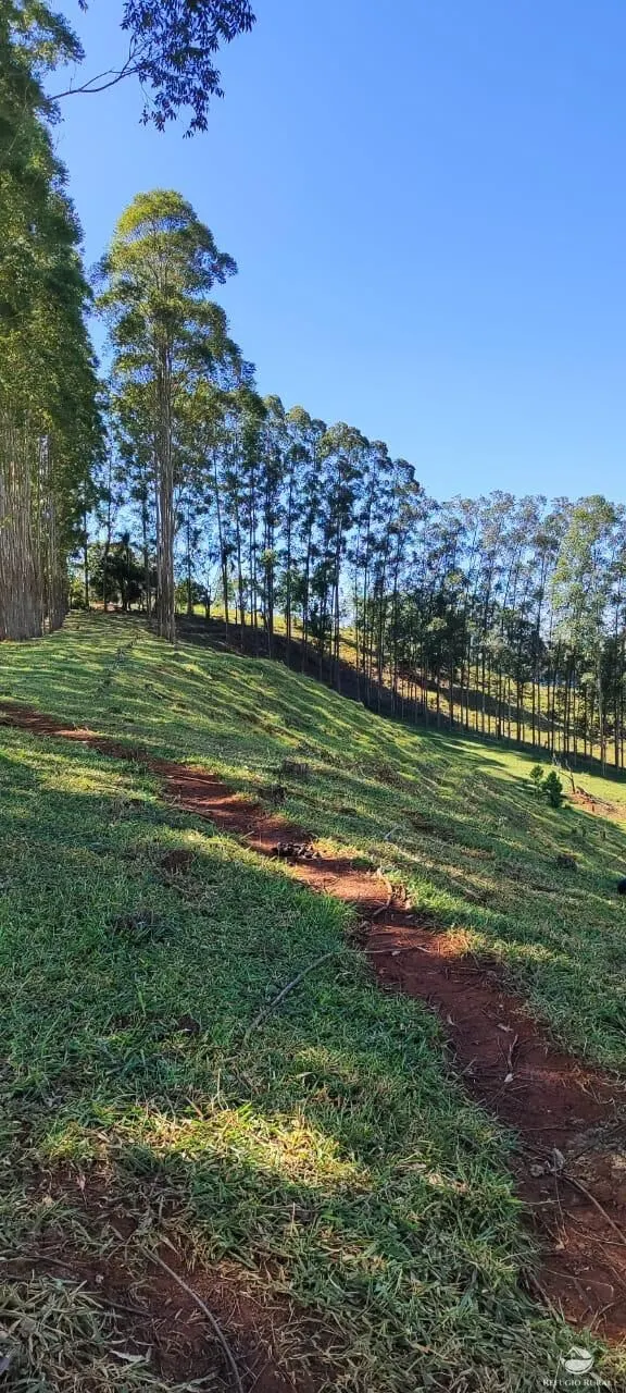 Fazenda à venda de 289 ha em Botucatu, SP, Brasil