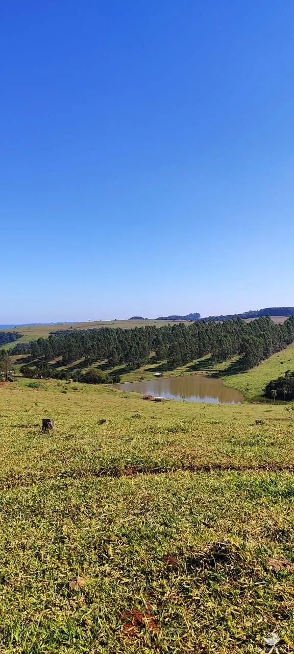 Fazenda à venda de 289 ha em Botucatu, SP, Brasil