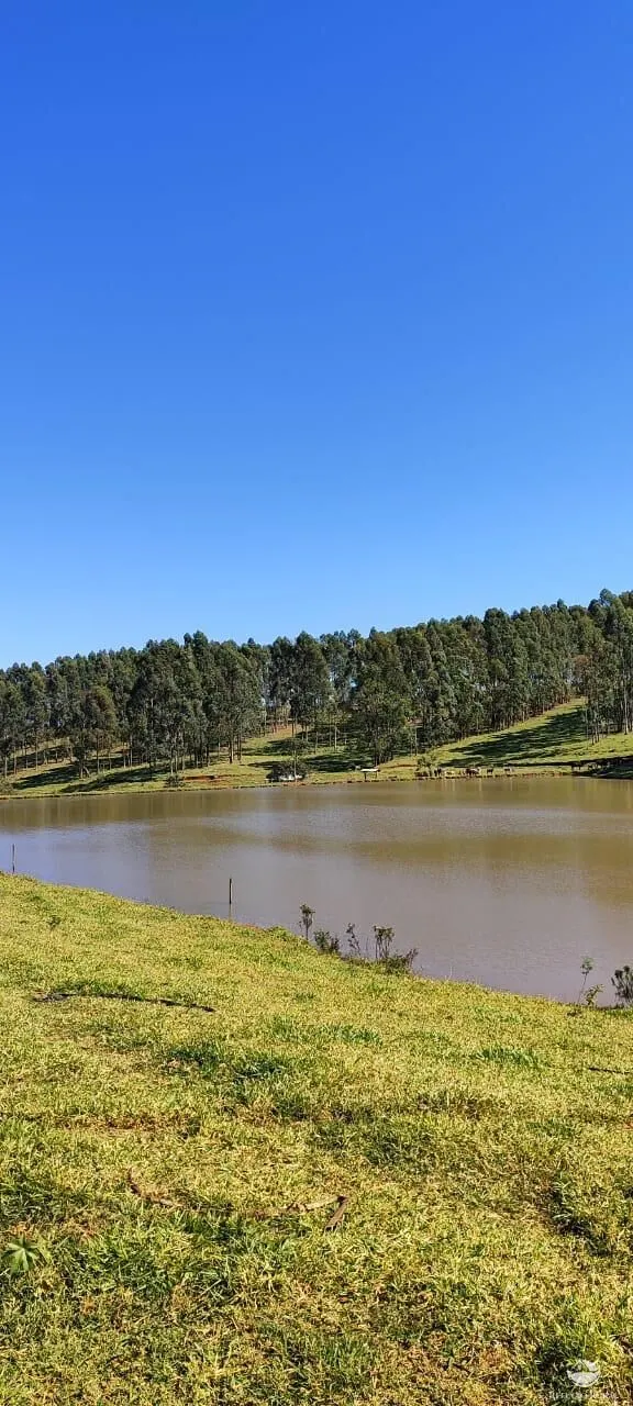 Fazenda à venda de 289 ha em Botucatu, SP, Brasil