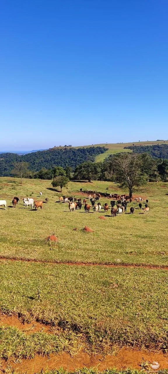 Fazenda à venda de 289 ha em Botucatu, SP, Brasil