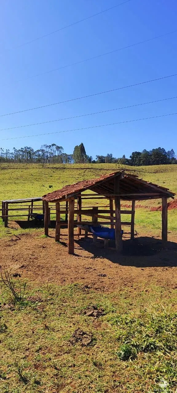 Fazenda à venda de 289 ha em Botucatu, SP, Brasil