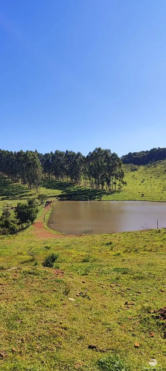 Fazenda à venda de 289 ha em Botucatu, SP, Brasil