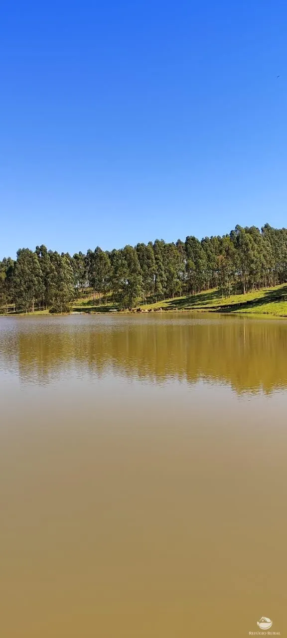 Fazenda à venda de 289 ha em Botucatu, SP, Brasil