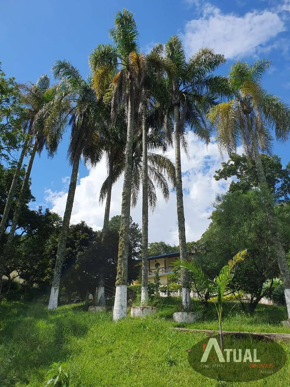 Chácara à venda de 2.827 m² em Mairiporã, SP, Brasil