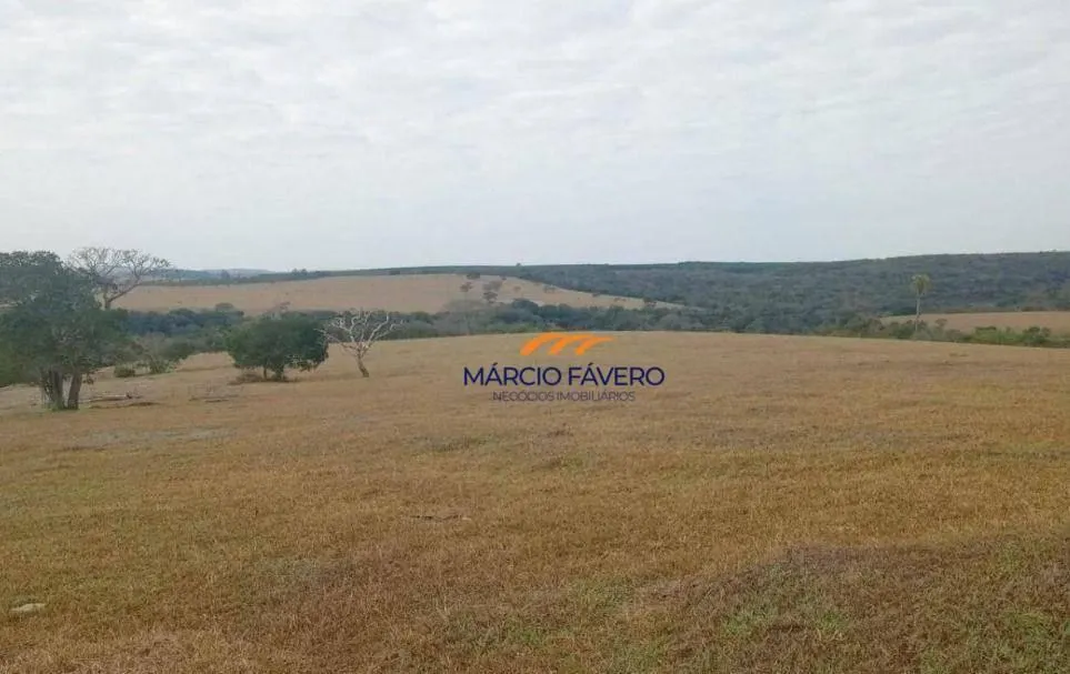 Fazenda à venda de 145 ha em Tatuí, SP, Brasil