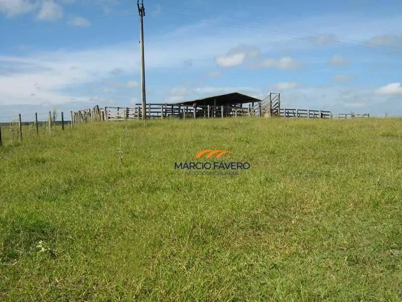 Fazenda à venda de 145 ha em Tatuí, SP, Brasil