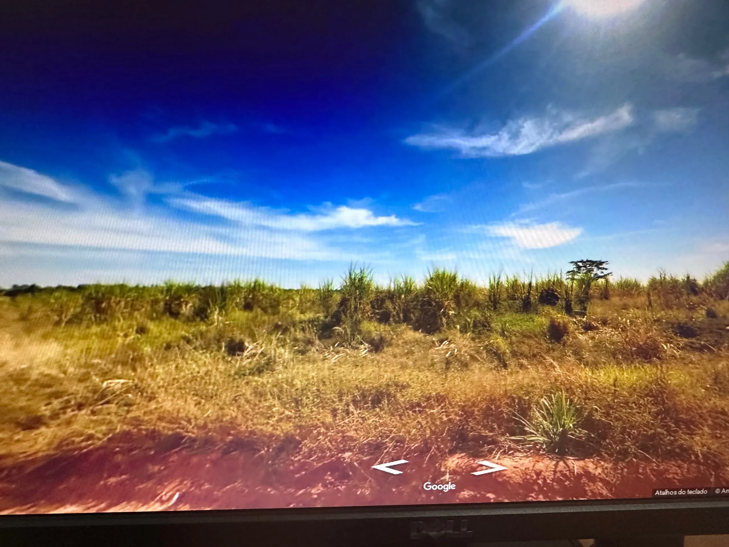 Terreno para Arrendar de 8 ha em São José do Rio Preto, SP, Brasil