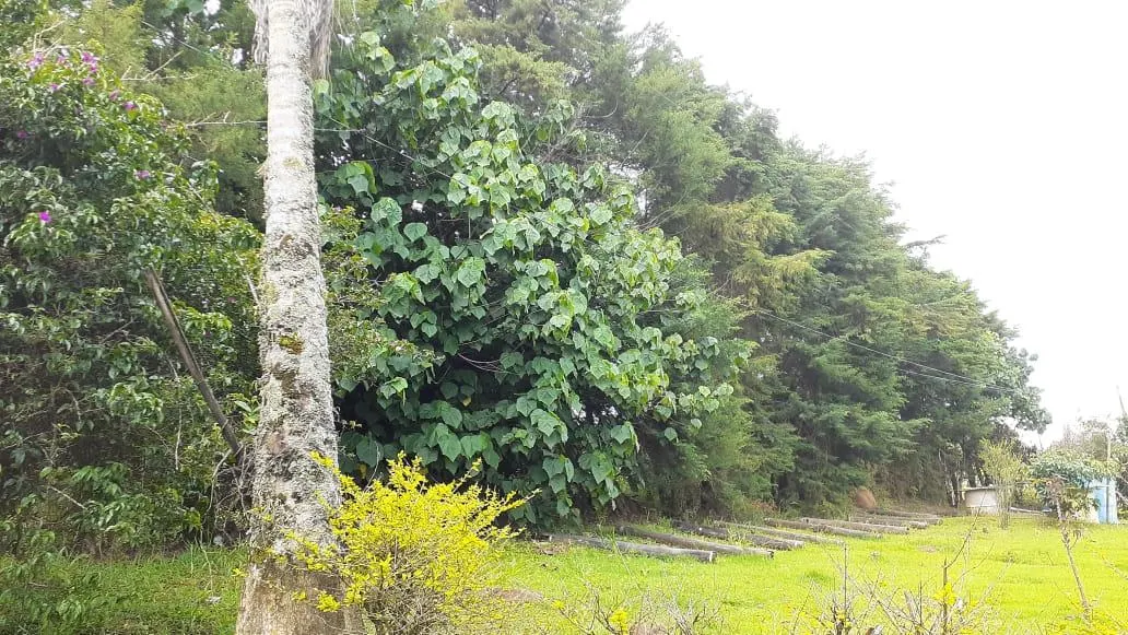 Country home for sale of 1 acres in Itapeva, MG, Brazil