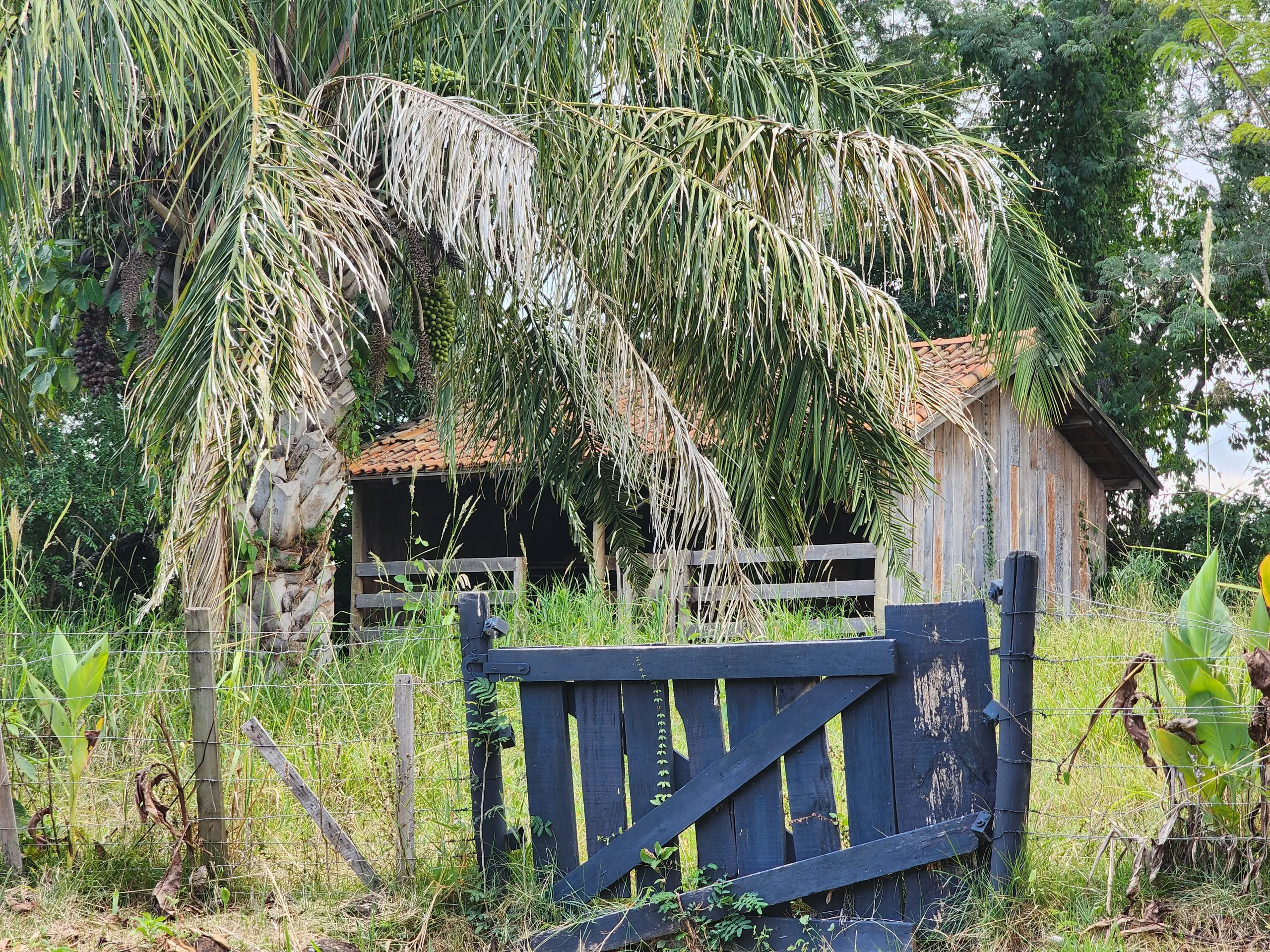 Chácara à venda de 2 ha em Piraju, SP, Brasil