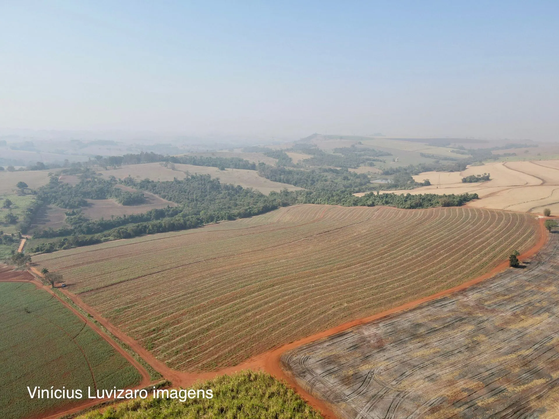 Small farm for sale of 95 acres in São João da Boa Vista, SP, Brazil