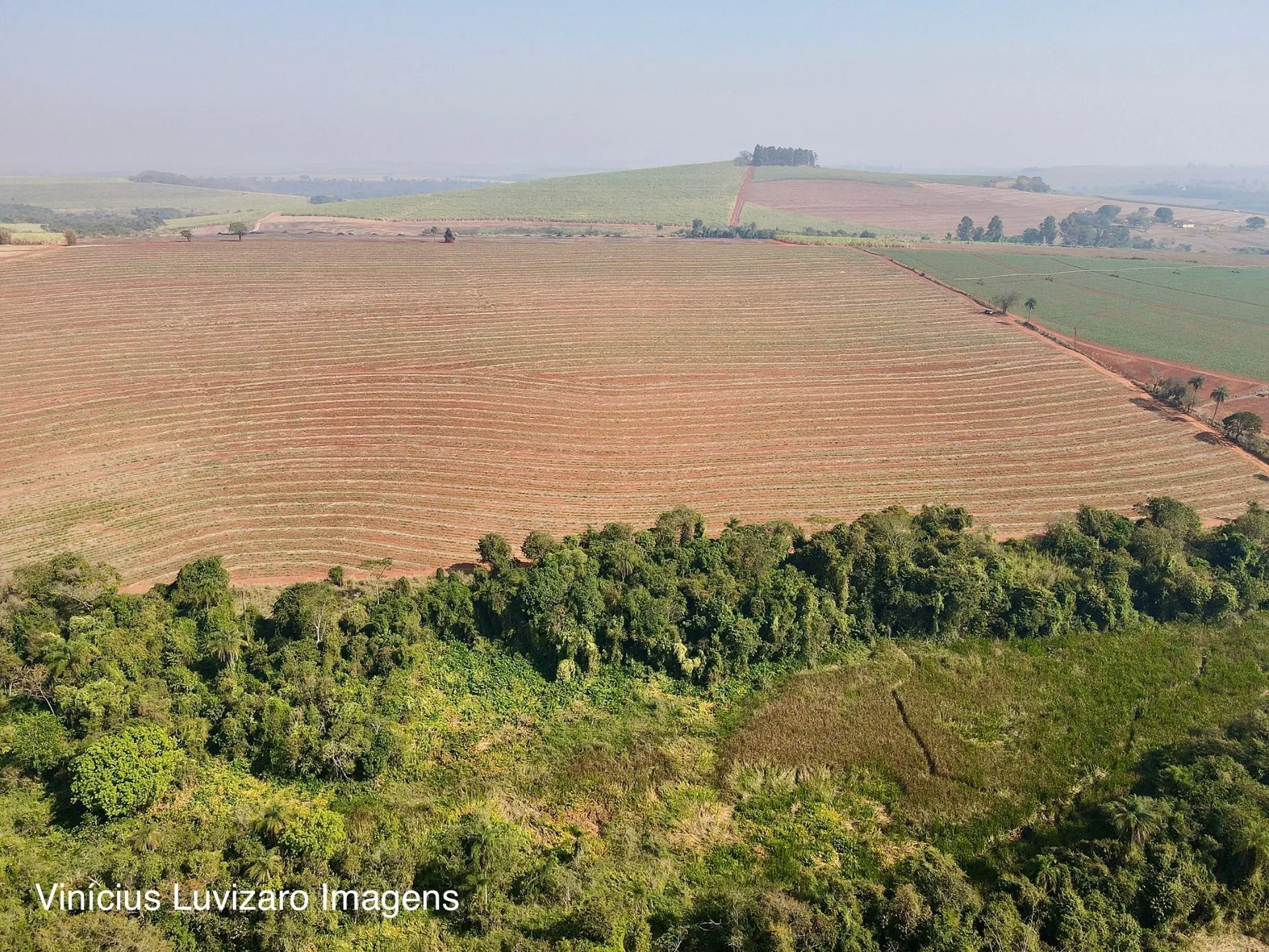 Small farm for sale of 95 acres in São João da Boa Vista, SP, Brazil
