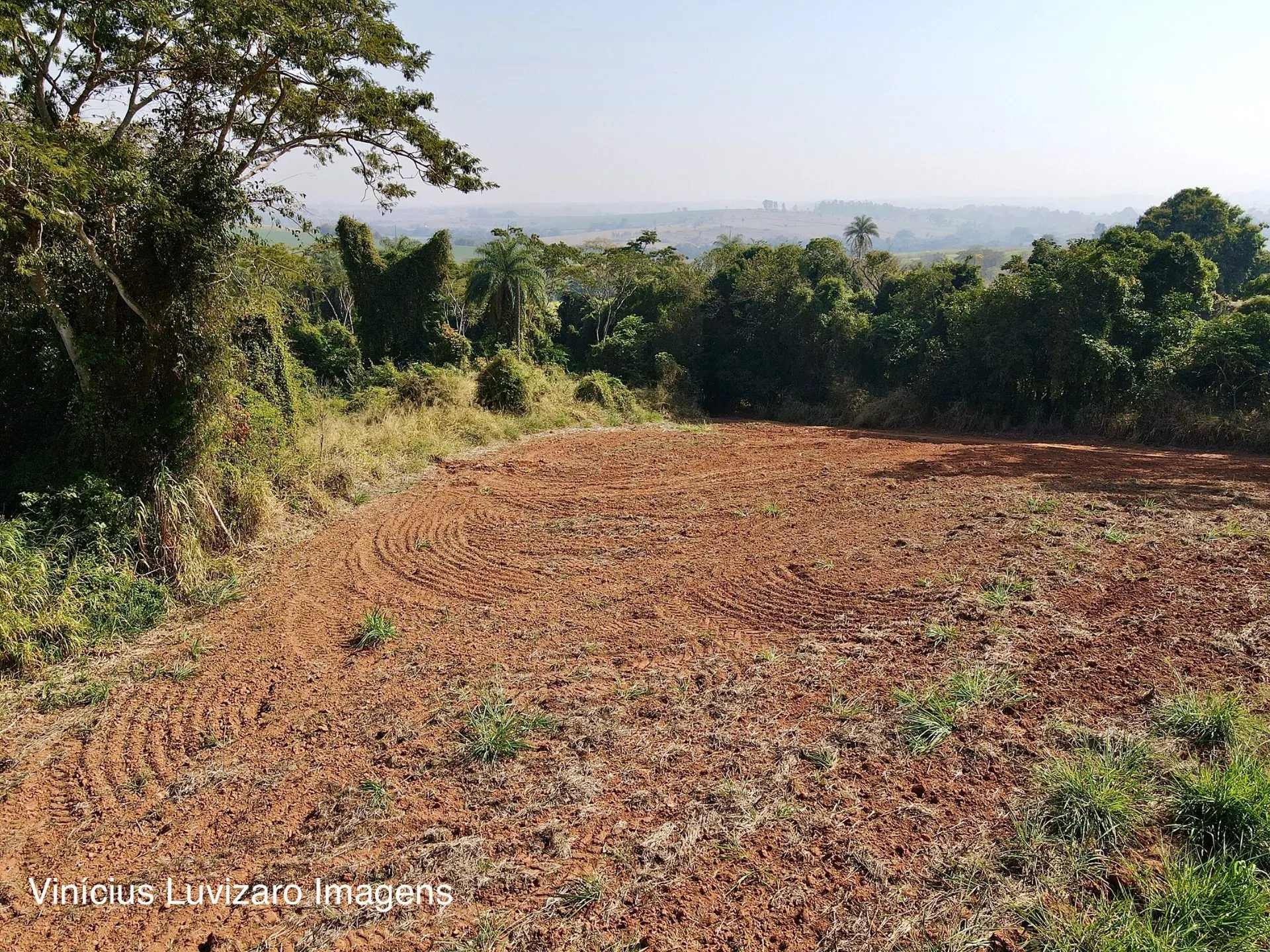 Small farm for sale of 95 acres in São João da Boa Vista, SP, Brazil