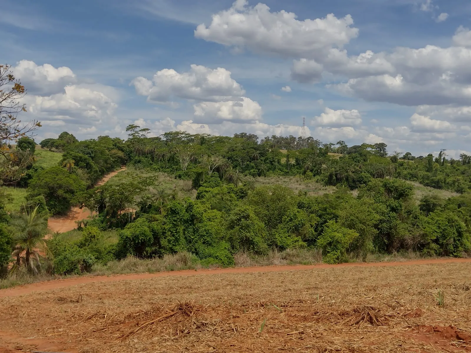Small farm for sale of 95 acres in São João da Boa Vista, SP, Brazil