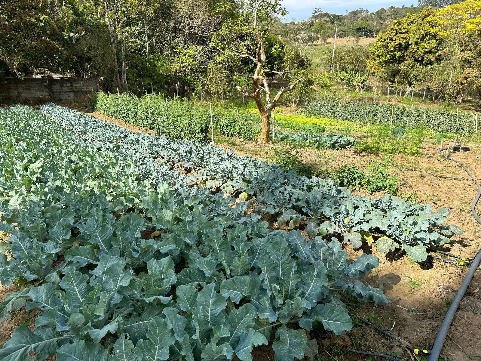 Country home for sale of 3 acres in Caçapava, SP, Brazil