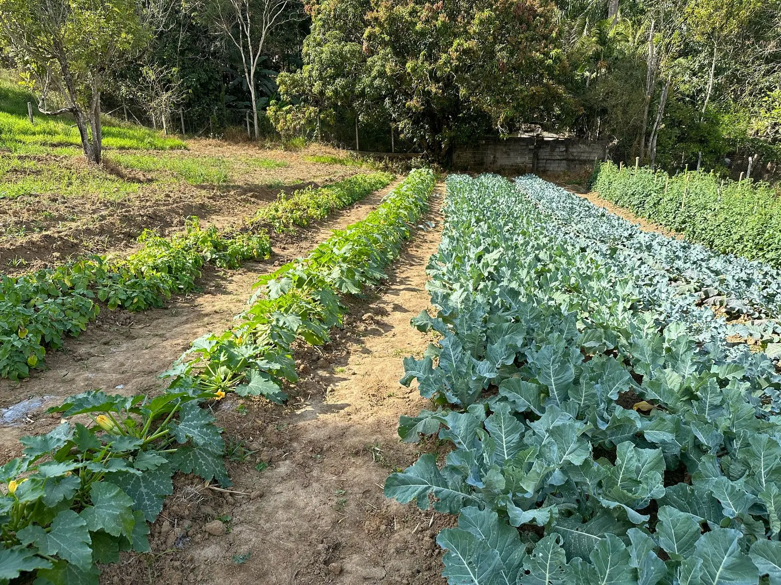 Country home for sale of 3 acres in Caçapava, SP, Brazil