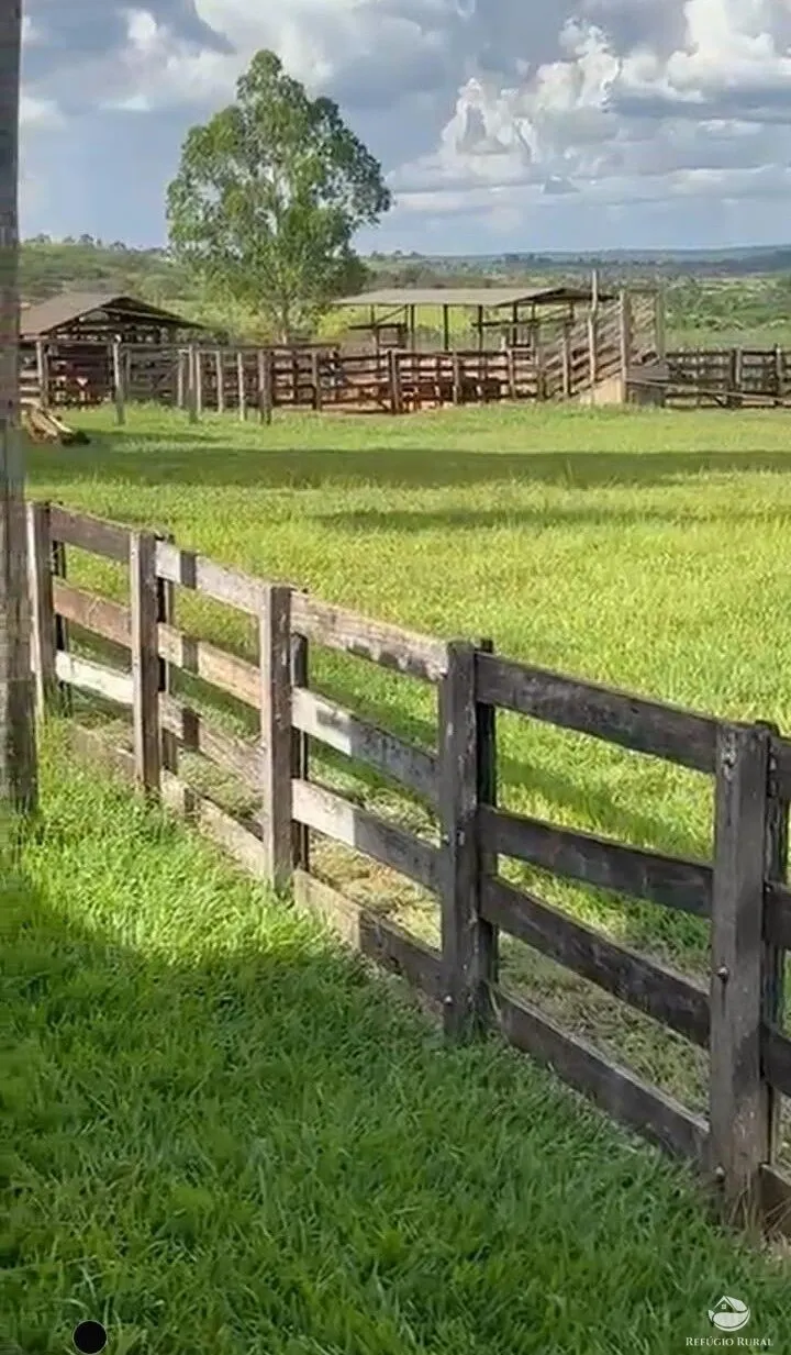 Fazenda à venda de 1.260 ha em São Gonçalo do Abaeté, MG, Brasil