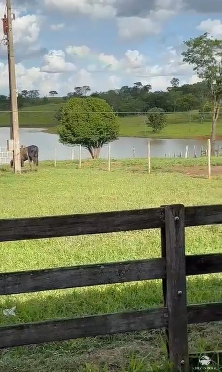 Fazenda à venda de 1.260 ha em São Gonçalo do Abaeté, MG, Brasil