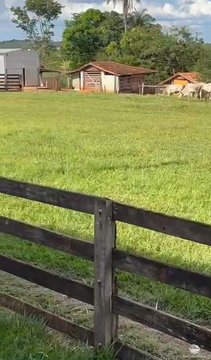Fazenda à venda de 1.260 ha em São Gonçalo do Abaeté, MG, Brasil