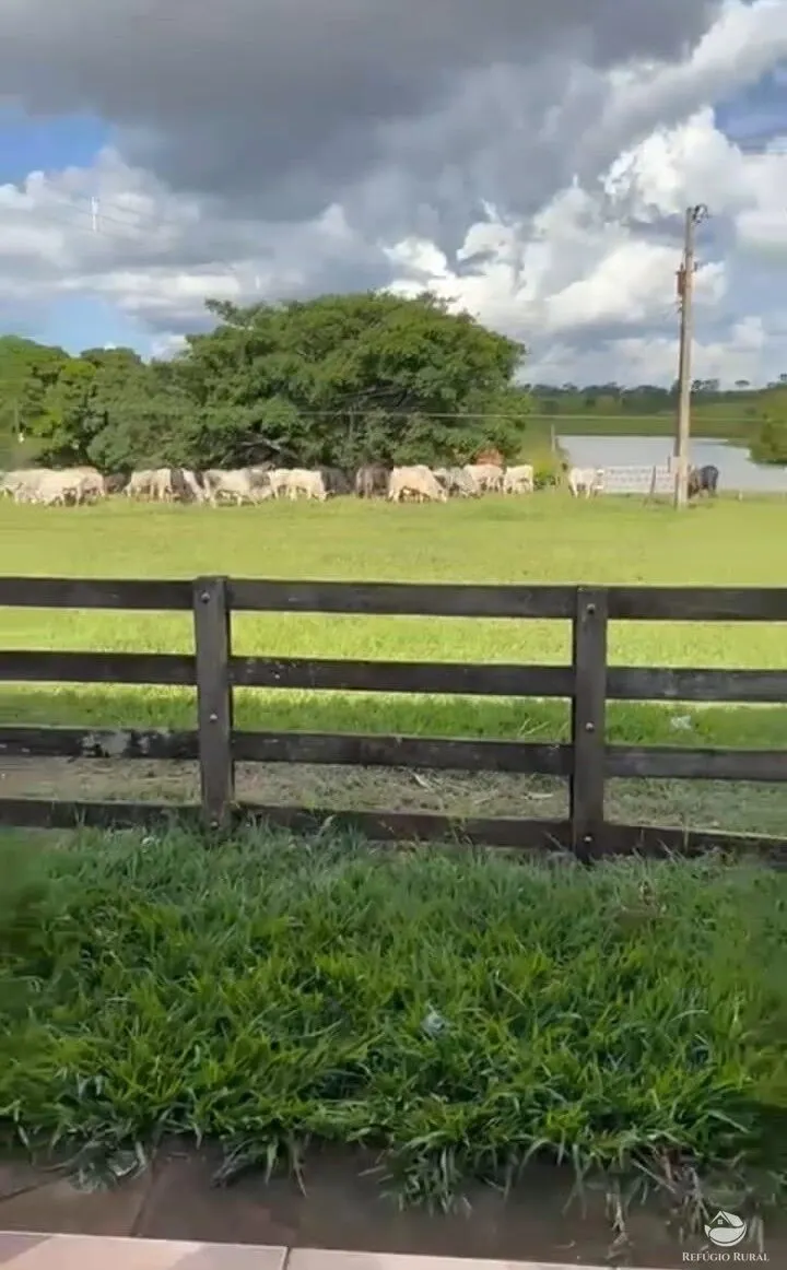 Fazenda à venda de 1.260 ha em São Gonçalo do Abaeté, MG, Brasil