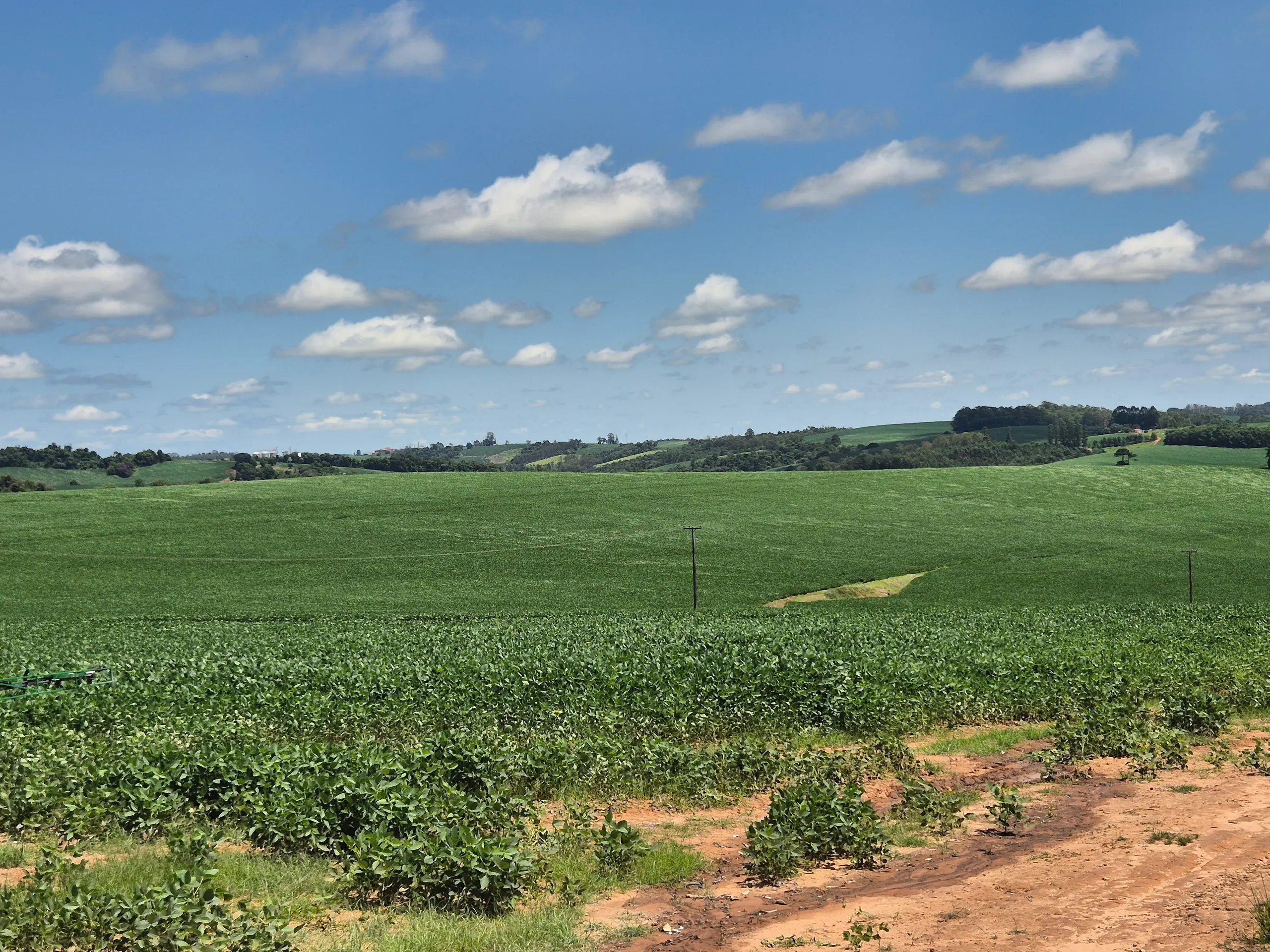 Fazenda à venda de 108 ha em Wenceslau Braz, PR, Brasil