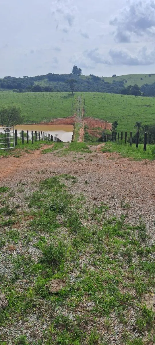 Fazenda à venda de 53 ha em Ibiúna, SP, Brasil