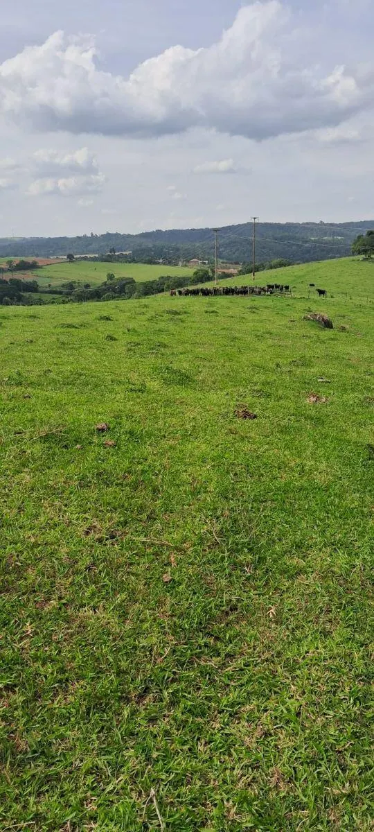 Fazenda à venda de 53 ha em Ibiúna, SP, Brasil